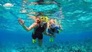 Snorkeling Visit